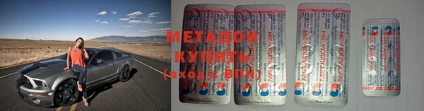 прущие грибы Балабаново