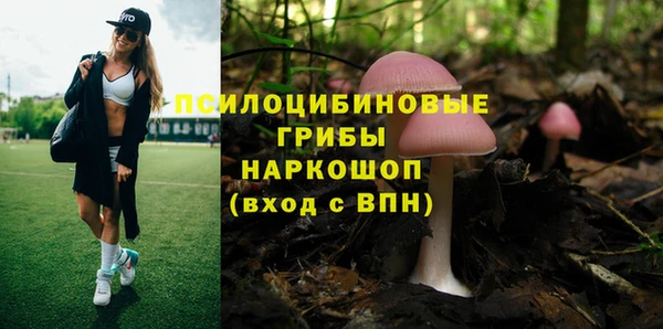прущие грибы Балабаново