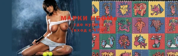 прущие грибы Балабаново