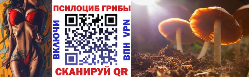 Псилоцибиновые грибы MAGIC MUSHROOMS  цена наркотик  Семилуки 
